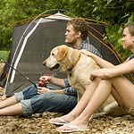 Family camping with a Golden Retriever pet dog
