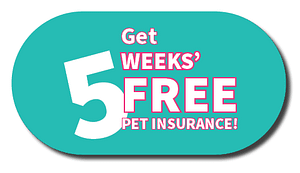 Get 5 weeks pet insurance free! Vetsure