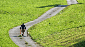 Man on a winding country lane dog walk